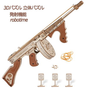 Robotime DIYؐ3DpY ̃pY pY ؐ Ntg Lbg lC gݗĊȒP S҂Ɍ v[g VNv[g q v[g ߋ (Tu}VK-LQB01)