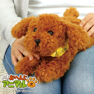 F ʂ ŁI āI ւ񂶃Aj} gCv[h ׂ ʂ  ׂ ʂ v[h ObY ׂ  av[g 