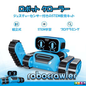 楽天市場 プログラミング ロボットの通販