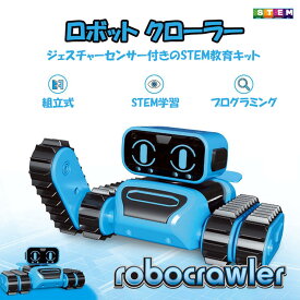 楽天市場 科学 実験 玩具の通販