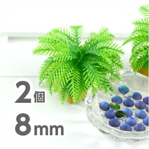 yԌ50%OFFz2 2090 8mm  u[ X lbNX sAX nhCh u[` lC fR LL J{V o~[_tXg fށyr[Y p[c XtXL[ K
