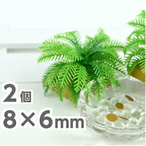 2 2193 8mm×6mm NX^ X lbNX sAX nhCh CXg[ u[` lC fR J{V NX^tXg f r[Y p[c XtXL[ KXr[Y