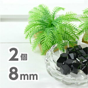 2 5600 8mm ubN  X lbNX sAX nhCh CXg[ u[` TCR  LL WFbg f r[Y p[c XtXL[ KXr[Y ANZT