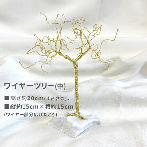 C[c[ CeA IuWF r[Yp[căCeAc[Ă݂܂ HE ANZT[p[c nhChp[c