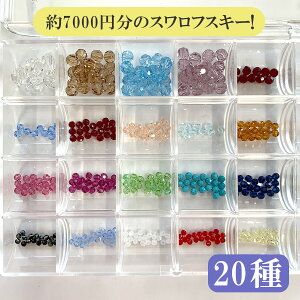 y2024 XtXL[XyVpbN5000 r[Y ZNg p[c 7,000~̃XtXL[r[Y2,800~܁zy20ށzyKXr[Y nhChz