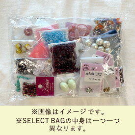 【約10,000円相当】BEADER SELECT BAG LARGE/チェコビーズ福袋