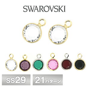 XtXL[ VlXg[ ЃJ S21F 2 SS29 SWAROVSKI p[c ANZT[ nhCh |  ޗ f