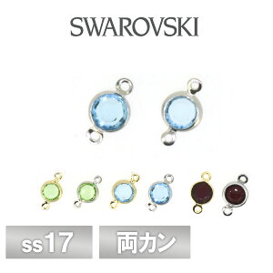 XtXL[ VlXg[ J S21F 2 SS17-2 SWAROVSKI p[c ANZT[ nhCh |  ޗ f