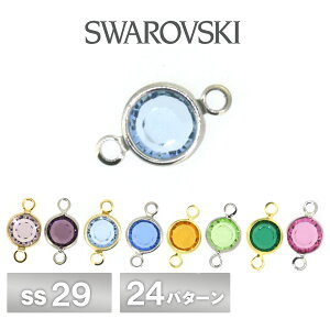 XtXL[ VlXg[ J S24F 2 SS29-2 SWAROVSKI p[c ANZT[ nhCh |  ޗ f