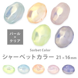 �A�N�����r�[�Y �V���[�x�b�g�J���[ �h�C�c�o���b�N 21×16mm �p�[��×�N���A