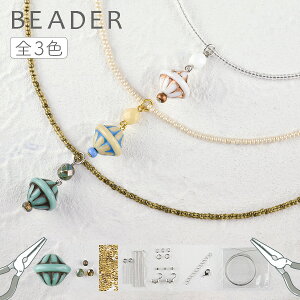 ANZT[Lbg AxXN{[̃lbNX FIт