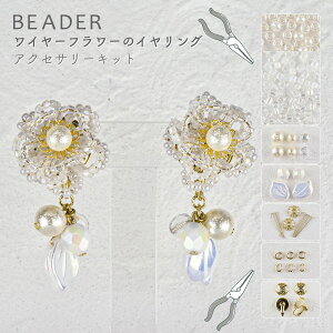 ȂԂɓZl킢ANZT[Lbg C[t[̃CO S[h