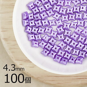 y܂Ƃߔzy100zII  X^[ pXep[v n p[v 4.3mm nhCh | ޗ f  `FRKX r[Y p[c `FRr[Y KXr[Y ANZ