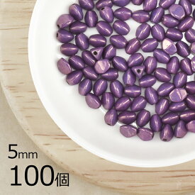 【まとめ買い割引】【100個】ピンチ 約5mm ハンドメイド 手芸 材料 素材 手作り チェコガラス ビーズ パーツ チェコビーズ ガラスビーズ アクセサリー
