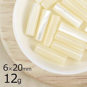 yr[Y p[c VF ANZT[zy12gzR Ќ L ~ Ќ zCg n 6mm×20mm nhCh | ޗ lbNX sAX f 