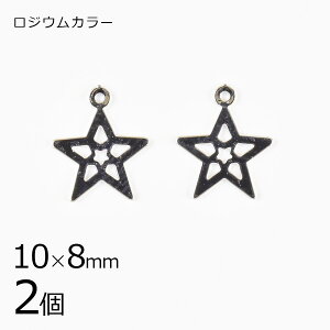 y p[c ANZT[zy2z^`[ X^[  WEJ[ n Vo[ 10×8mm nhCh |  ޗ f