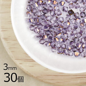 yԌ40%OFFz`FRr[Y XNGA \o oCR[ 30 }VJbg AWXgc[gAB n p[v 3mm ޗ KXr[Y p[c