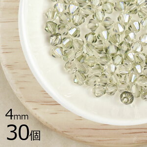 yԌ40%OFFz`FRr[Y XNGA \o oCR[ 30 }VJbg yhbgc[gX^[3 n CG[ 4mm ޗ KXr[Y p[c