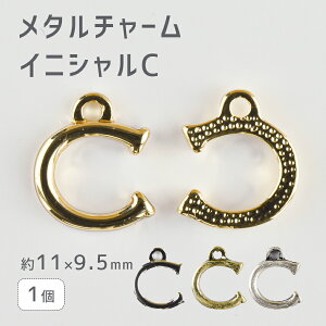 yԌ50%OFFzy^`[ CjVC zyFIтzy1zy11×9.5mmzAt@xbg nhCh |  ޗ COyp[c ANZT[z