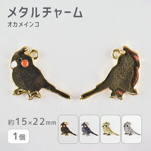 y^`[ IJCR zy1zyFIтzy15×22mmz nhCh |  ޗ fށyp[c ANZT[z