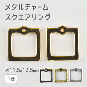 y^`[ XNGAO z yFIтzy1zy11.5×12.5mmz nhCh |  ޗ COyp[c ANZT[z