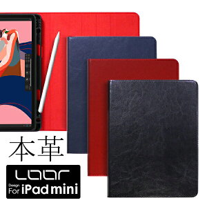 yy܂z LOOF Original {v iPad mini A17 Pro 6 6 2021 mini6 2019 P[X mini5 Jo[ 5 iPadmini4 y|Pbg ACpbh ubN^Jo[ 9.7C` y[ ubN^ I[gX