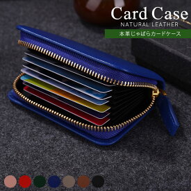 カードケース 本革 カード入れ 名刺入れ リボン カラフルな牛革製 大容量 じゃばら レディース おしゃれ レザー カード収納 アコーディオン ファスナー ジャバラ メンズ スリム ポイントカード かわいい 薄型 カード・ケース