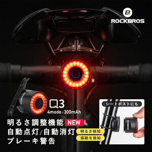 LEDe[Cg I[g[h_@\ yz X}[ge[Cg u[LZVO 邳m 邳 Um V[g|Xg Th 2WAY IPX6 4̓_[h _