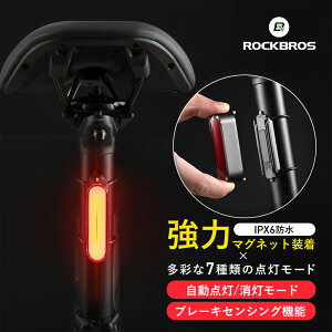 }Olbge[Cg yz I[g[h u[LZVO  _  USB Type-C[d u[Lx e[v obNCg LEDCg ȒPt S ̖h~ 