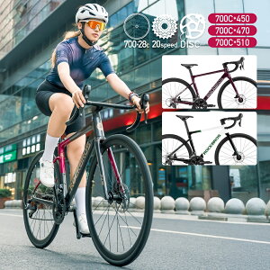 [hoCN 700×28C NEW W3 20speed 20iϑ 2×10 t A~t[ fBXNu[L X[XEFhn ROCKBROS bNuX 700C y S-RIDE RD-R500 S ] { ʋ 