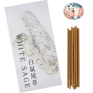 DANNY LIB zCgZ[W   򉻗p A} [tOX  CZXXeBbN FZbg