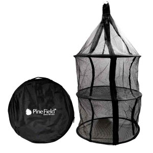 Pine Field ܂肽ݎ hClbg p̎[ܕt