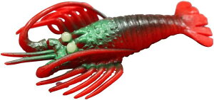 ^Rނp^a }V tFCN ɐGr  LTCY