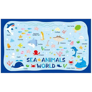 gl }bg V[Aj}[h RpNgɂ݂₷ TCY 100×60cm P-3650 {