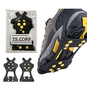 [TS.CORP] AC[ ~ H R oR nCLO Xނ ]|h~ ͂10s (L)