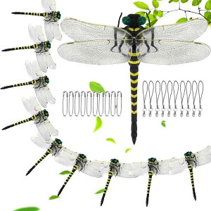 Ki  A g{ {ƂقړTCY  g{ PVCf   ނ  oRj[ Ԍ  oR kނ Lv AEghA p