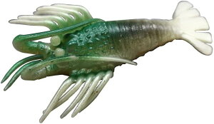 ^Rނp^a }V tFCN ɐGr  MTCY