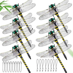  Ki x {ƂقړTCY  悯 g{ PVCގ   ނ  x_ Ԍ  oR kނ Lv AEghA OƉp ^S