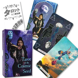 �^���b�g �I�u �U �R�Y�~�b�N �V�[�h Tarot of the Cosmic Seed �^���b�g�肢�� ���{�������t�� FLATLAND ���K�i �^���b�g�J�[�h 78�� �F��