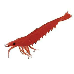 �yNAKAZIMA/�i�J�W�}�z���A���[�� �G�r�V���[�Y 105mm NPK-RIAWAAMU-EBI-105 ���[�� ���A�����[�� ���A�[