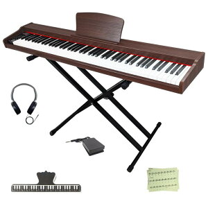 yؐdqsAmX^hZbgzLongeye dqsAm 88 MOLD2 X^ht {\L wbhzgp MIDI[qΉ 10mmXg[N 380މF ڒ DREAM S KɃsb