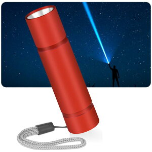 ABODXWERDId LEDd ^ [dy2025t ŐV̋ zA~f 800[ 3[h Type-C[d d  y RpNg Ɨp h h nk d }upi