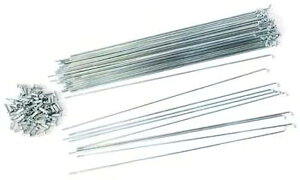 ���X�|�[�N1�{��14�|255 �X�^�[�u���C�g �j�b�v���t��