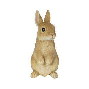 �E�[�r�A ���x�[�W�����E�T�M�i��j 11×11×22cm �l�` �t�B�M���A �u���� �A�j�}�� ���� �K�[�f�� ���� ������ H12319-3