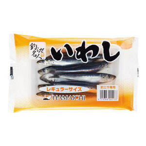 qⓀނGTrlsmHAMAICHIn킵pbN [L] M[TCY (^Cv)×2ZbgyⓀz