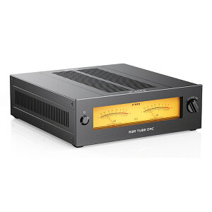 FiiO(�t�B�[�I) WARMER R2R Black