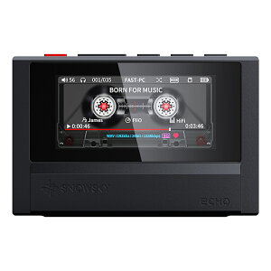 FiiO Snowsky ECHO Black