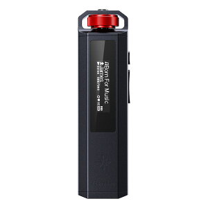 FiiO(�t�B�[�I) Snowsky ECHO NANO Black