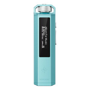 FiiO(�t�B�[�I) Snowsky ECHO NANO Sky Blue