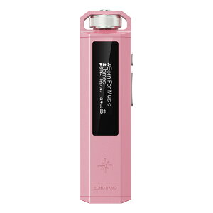 FiiO(�t�B�[�I) Snowsky ECHO NANO Pink